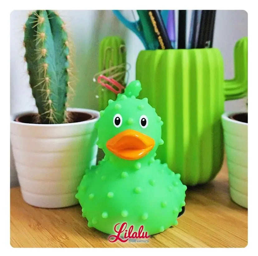 Canard Cactus Lilalu CoinCaillerie