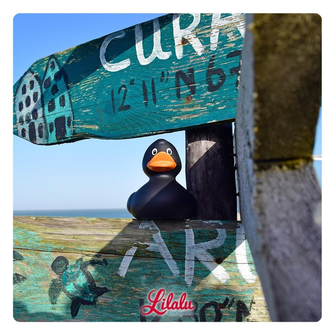 Klasická černá kachna