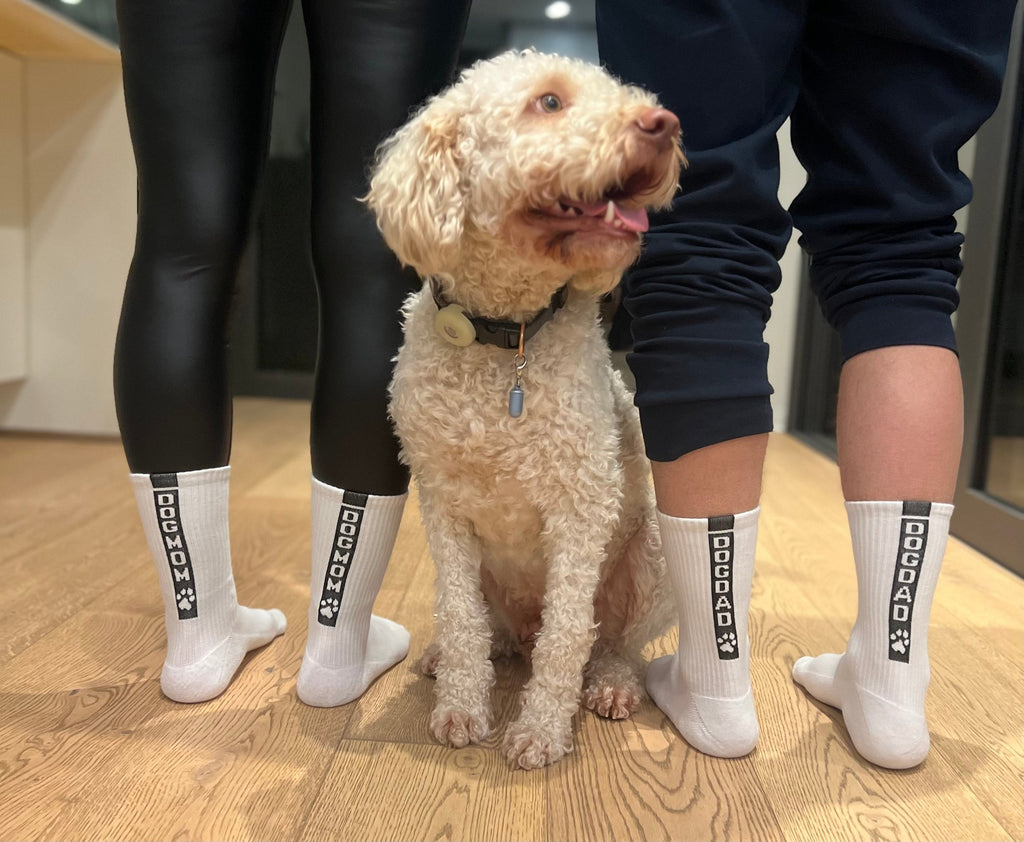 DOGDAD – vue produit 2