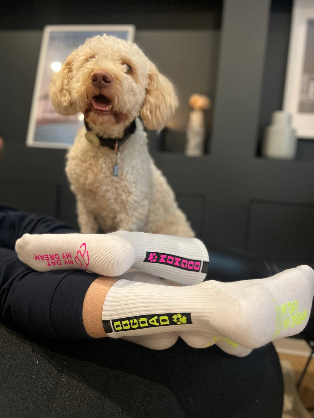 DOGDAD jaune néon – vue produit 4