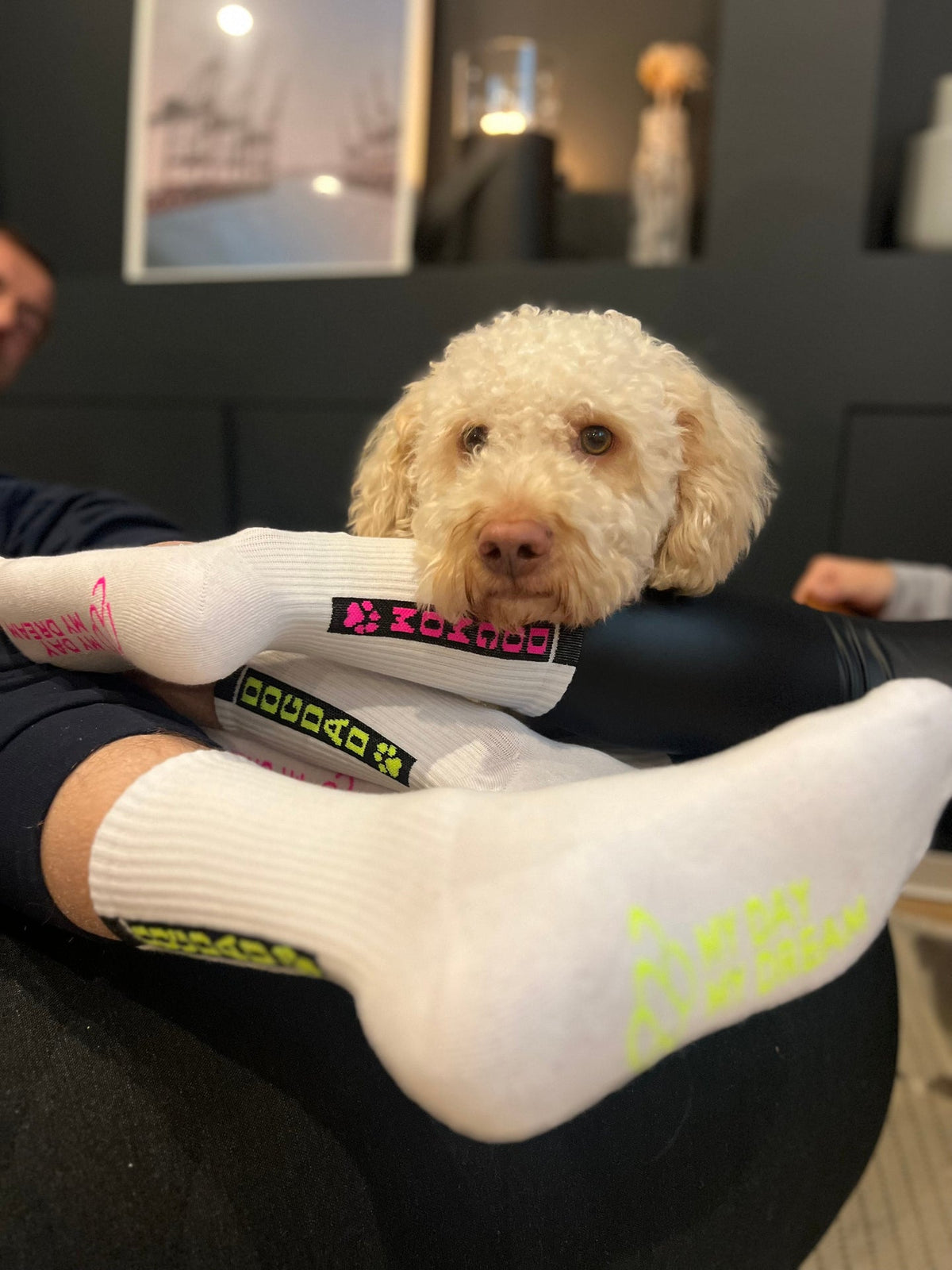 DOGMOM rose néon – vue produit 5
