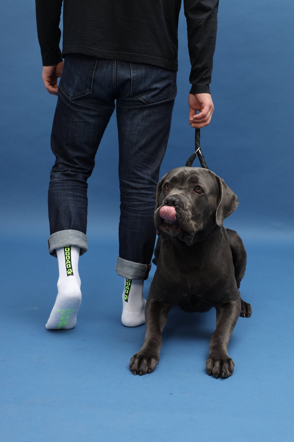 DOGDAD jaune néon – vue produit 2