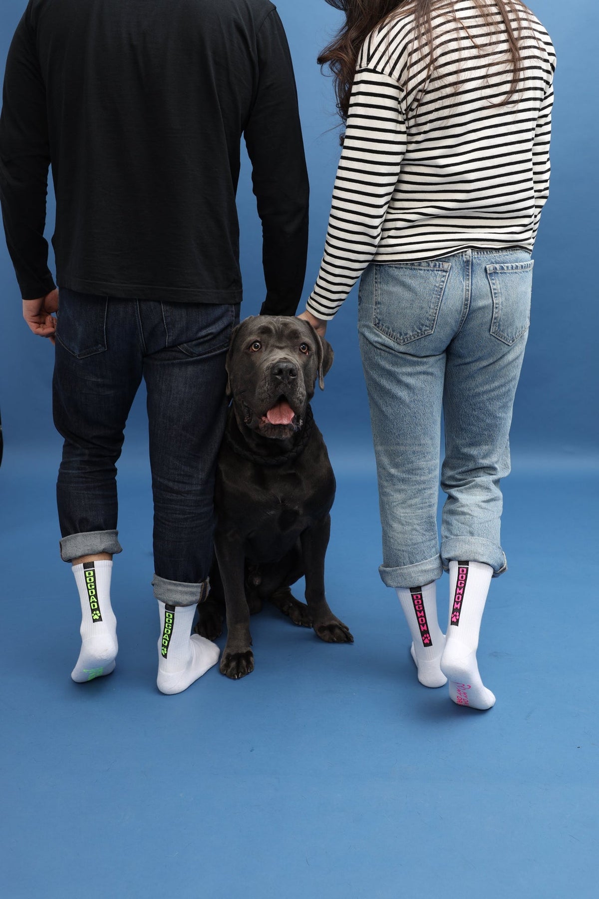 DOGDAD jaune néon – vue produit 3