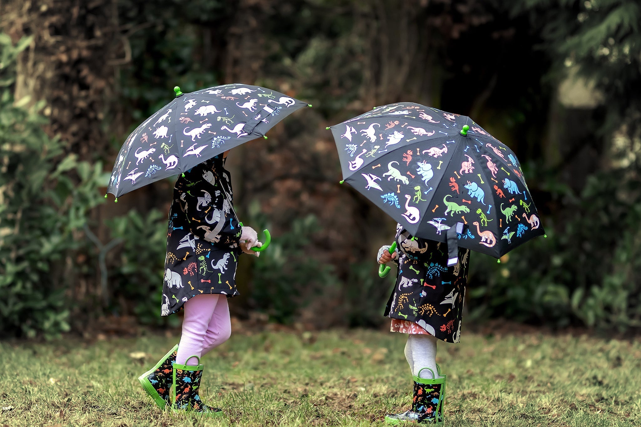 Bottes de pluie – dinosaure Bones