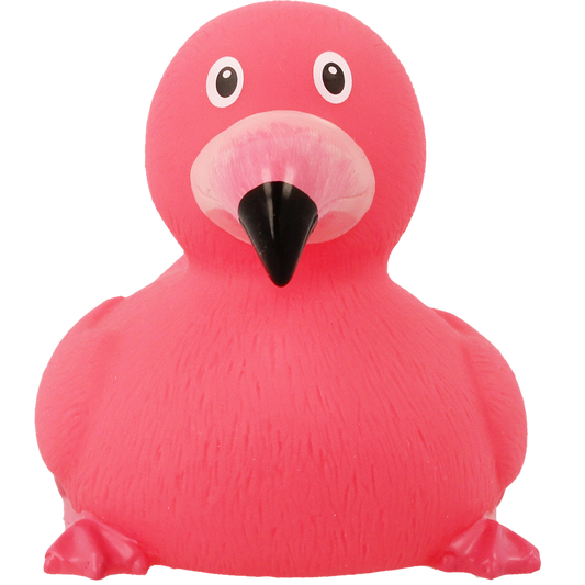 Flamingo and