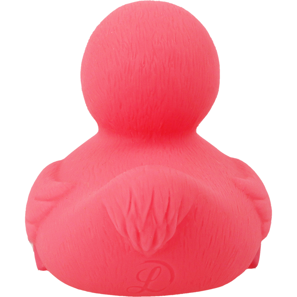 Canard Flamant Rose – visuel produit