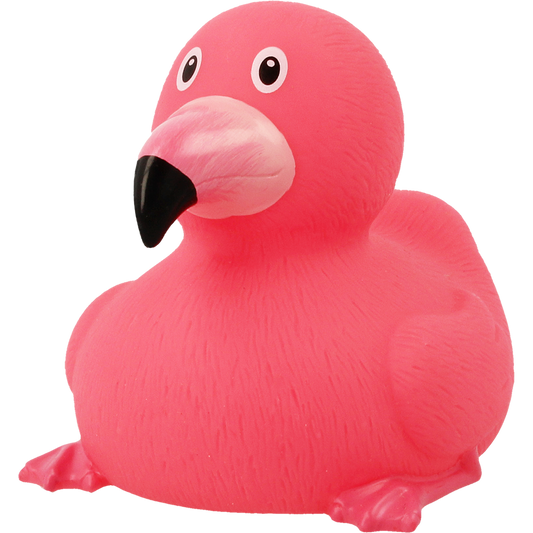 Flamingo and