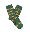 Chaussettes Enfant « Lions » - Chulé