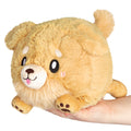 Peluche Mini Squishable – Golden Chiot