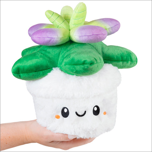 Mini Squishable Sukkulente