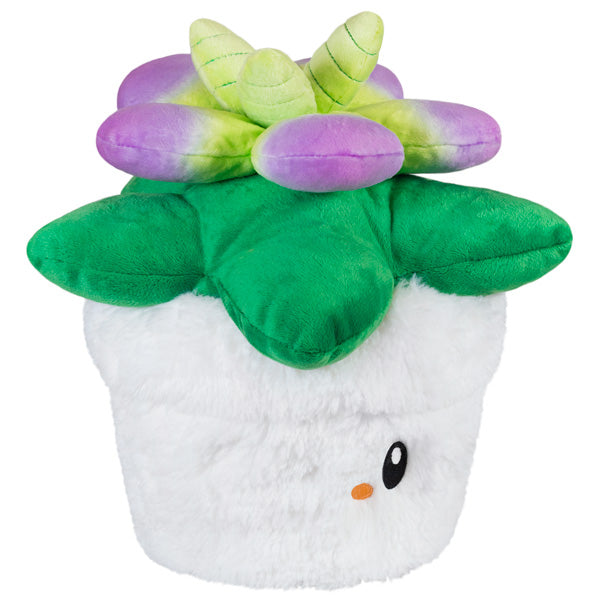 Mini Squishable Sukkulente