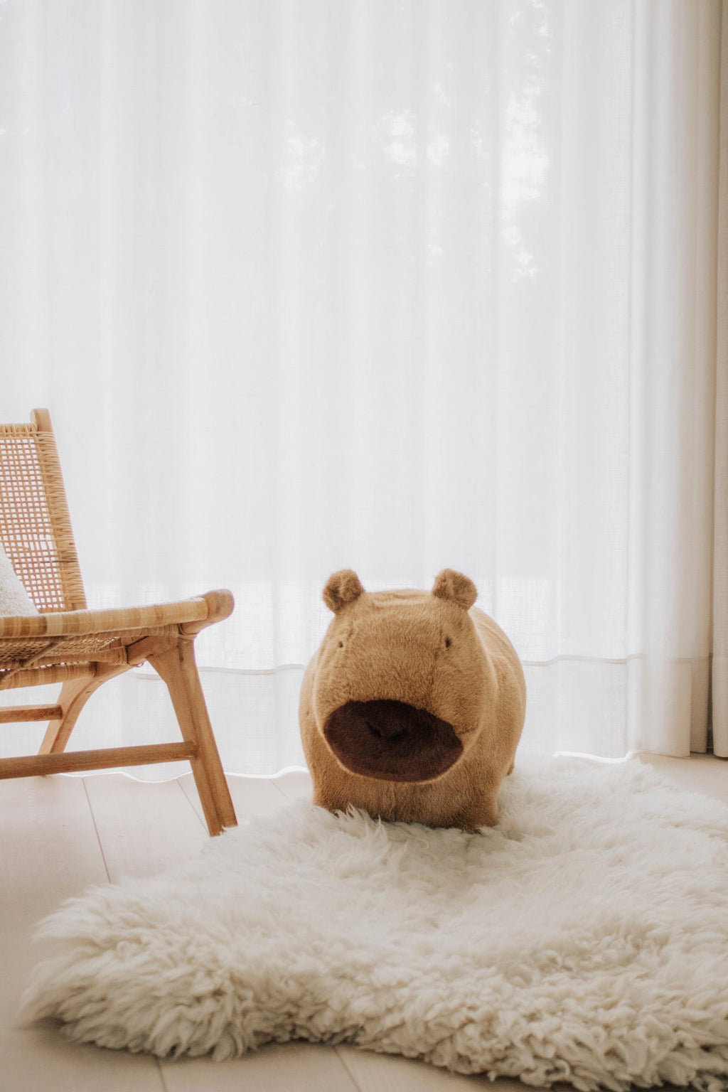 Capybara doux et rebondissant - Wild & Soft
