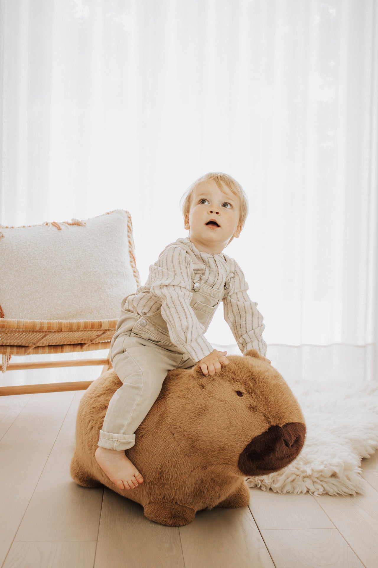 Capybara doux et rebondissant - Wild & Soft