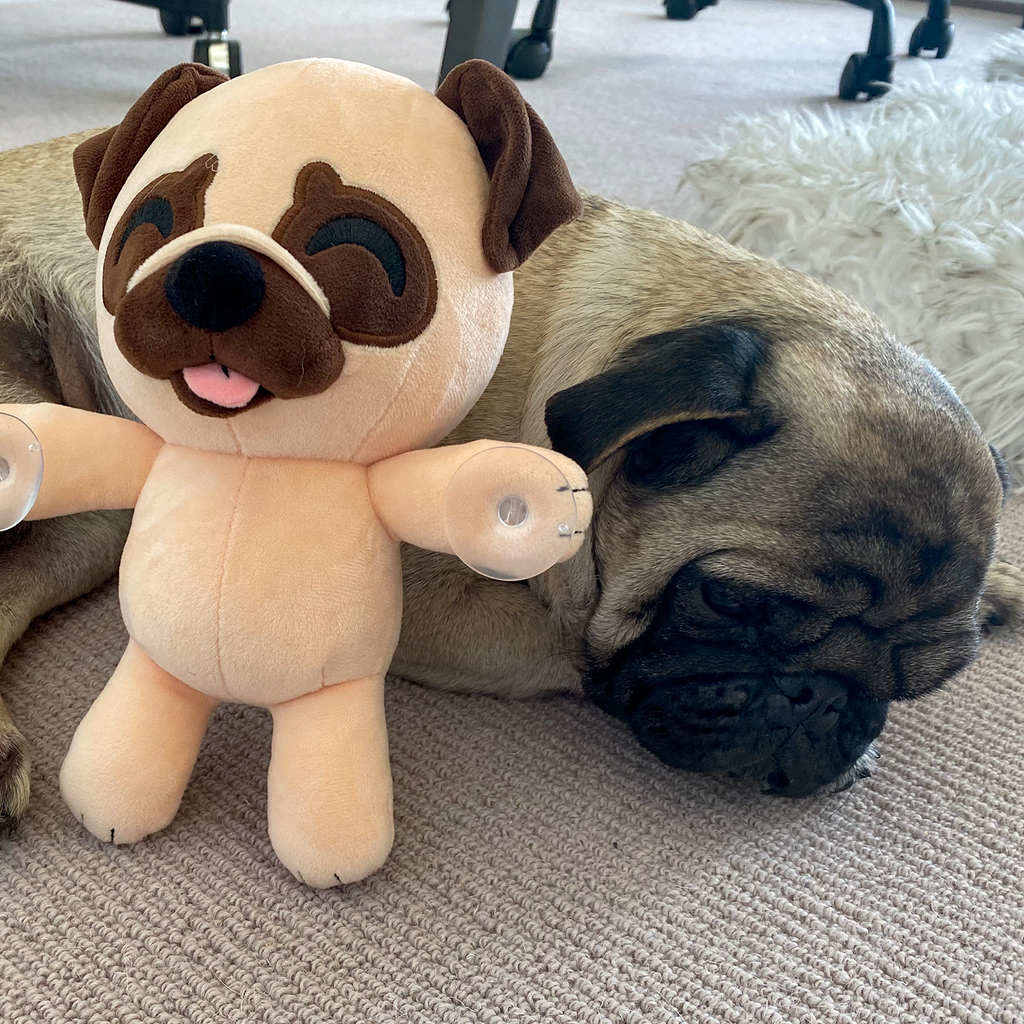 Pug Splatt Plush (9in)