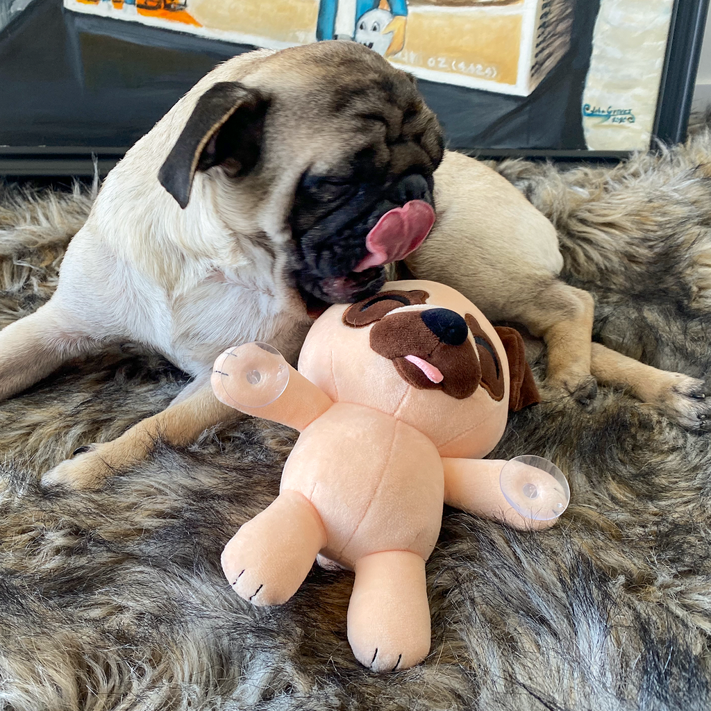 Pug Splatt Plush (9in)