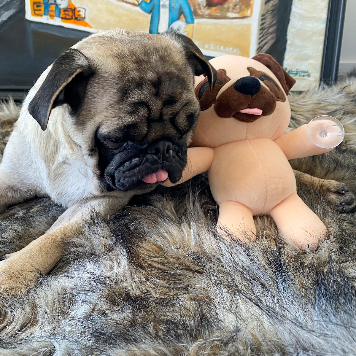 Pug Splatt Plush (9in)