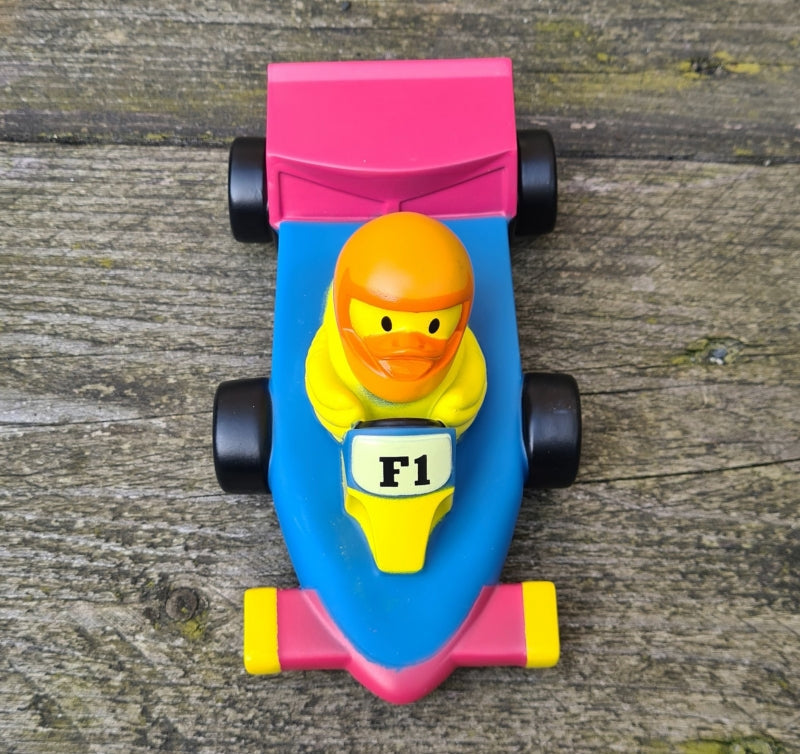 Canard Voiture de course F1