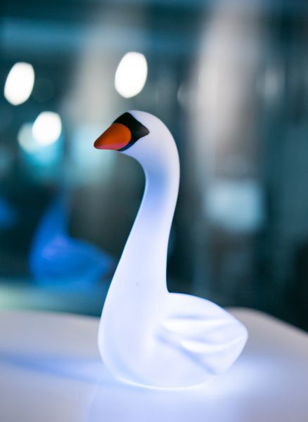 veilleuse cygne dhink 