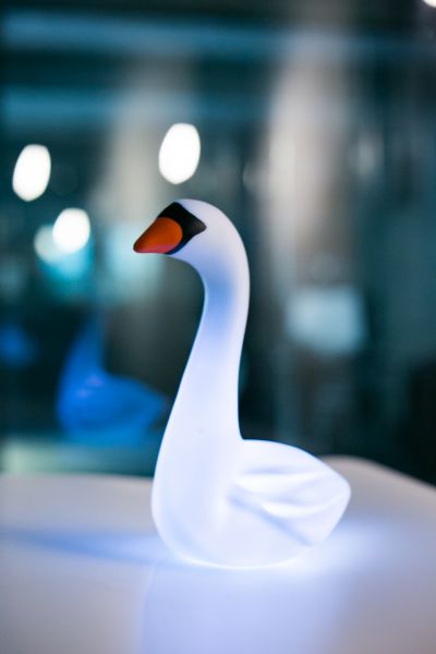 veilleuse cygne dhink 