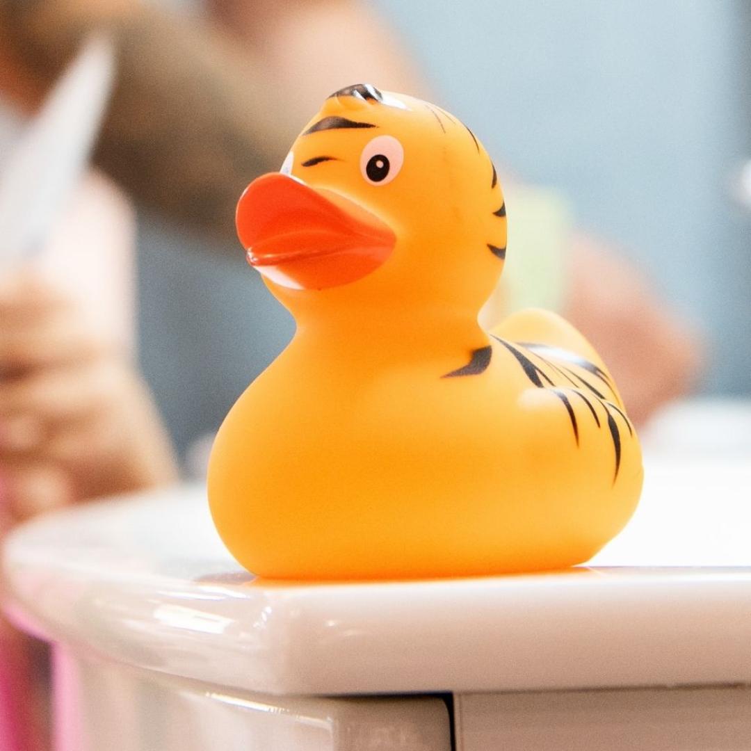 Tiger Duck
