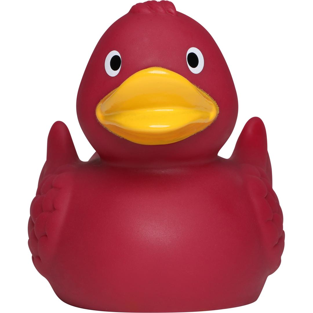 Canard uni avec ailes