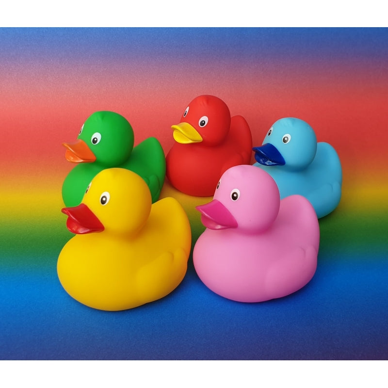 Canard Classique - Dutch Ducky - vue 41