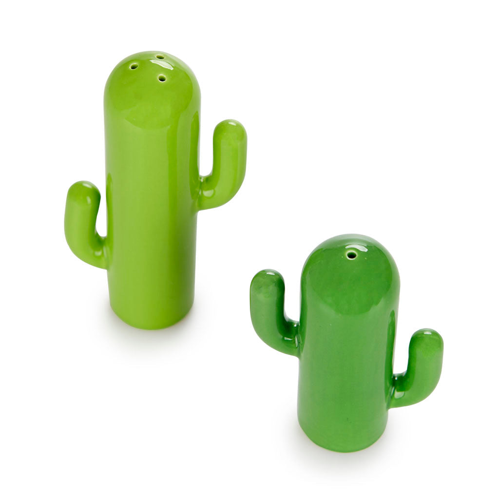 sel и poivre cactus balvi