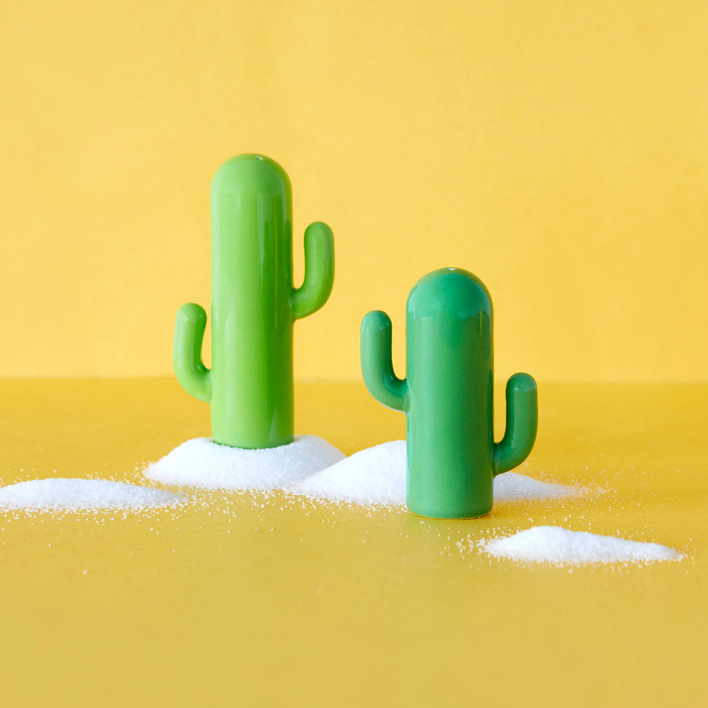 sel et poivre cactus balvi 