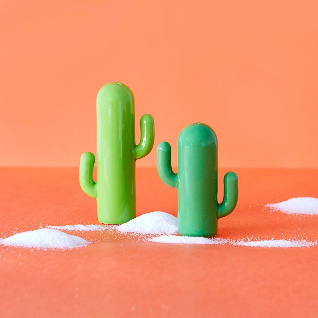 sel и poivre cactus balvi