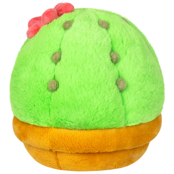 Snacker Cactus