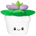 Peluche Squishable – Succulente