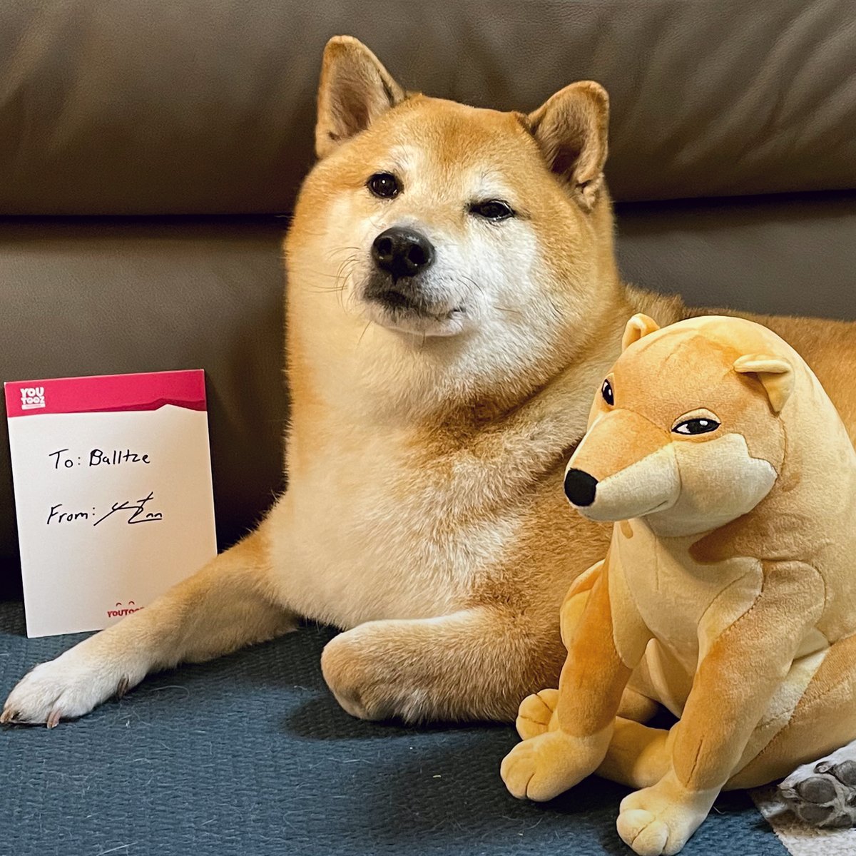Cheems Plush (1ft)