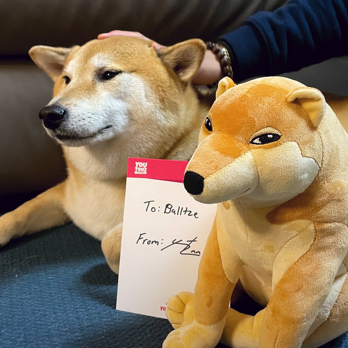 Cheems Plush (1ft)