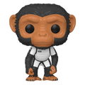 Pop! Pogo Bébé